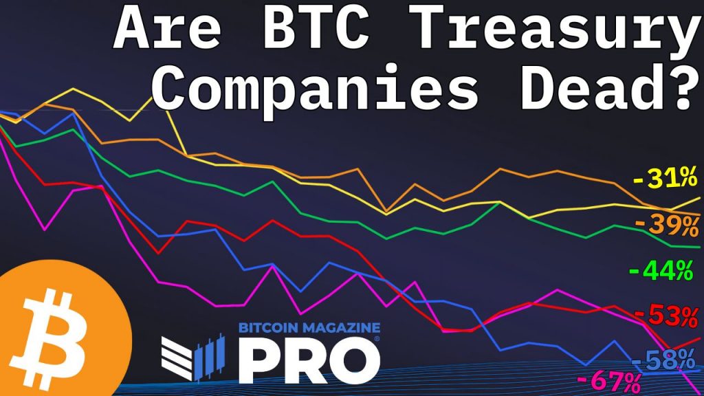 Are Bitcoin Treasury Companies Still A Smart Investment In 2025?