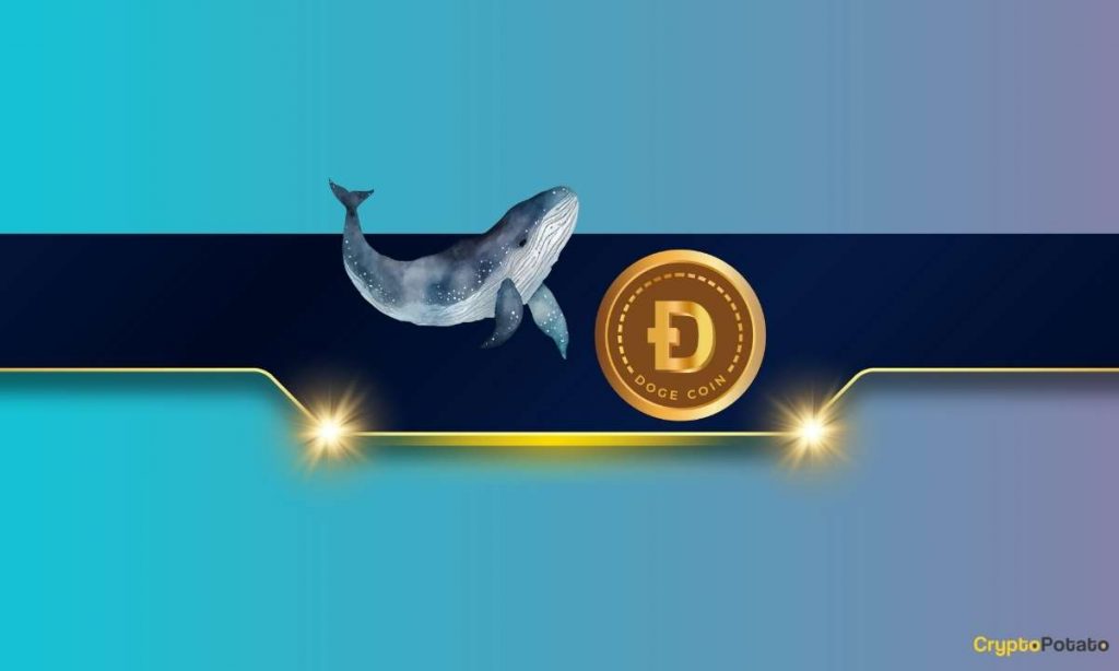 Massive DOGE Whale Activity Hints at $1 Breakout