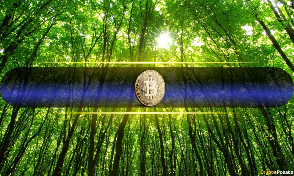 Decisive Recovery or Another Dead-Cat Bounce?