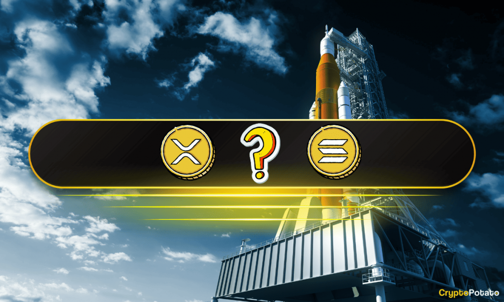 Only 24% of Altcoins Are Above Their 200-Day SMA