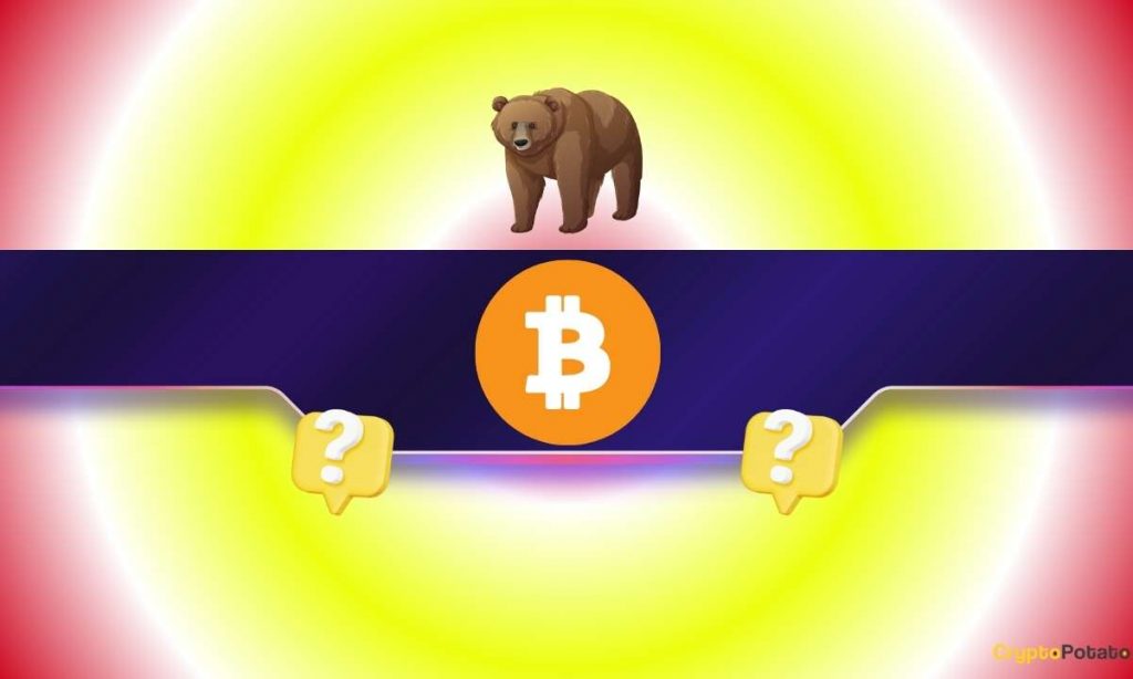 Is Bitcoin Repeating Its Darkest Bear Market History?