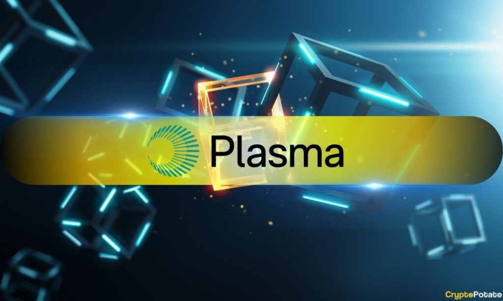 Plasma CEO Denies XPL Token Sale Rumors