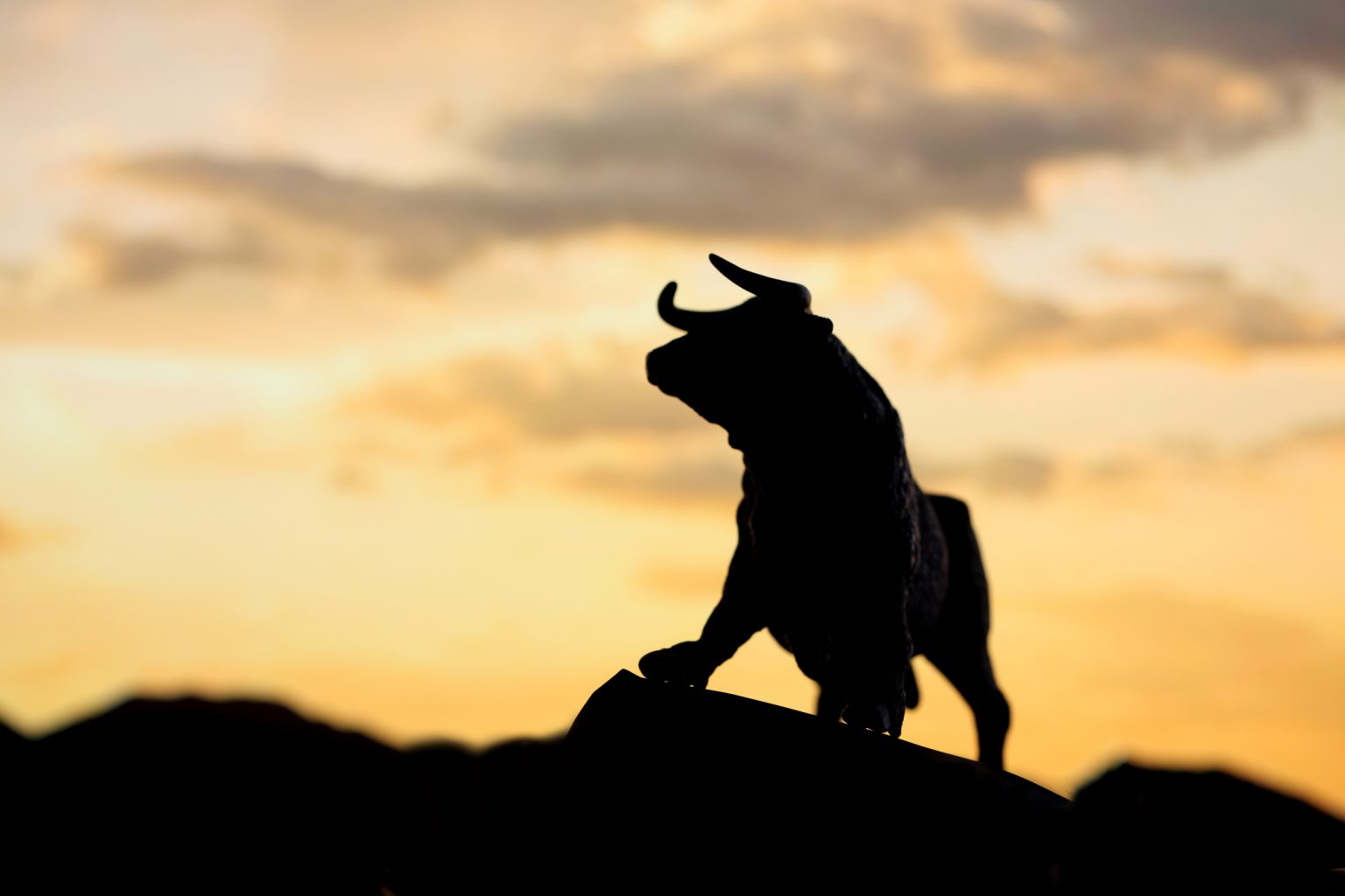 Bitcoin ‘True Bull Run’ May Yet To Begin — Analyst Explains Why