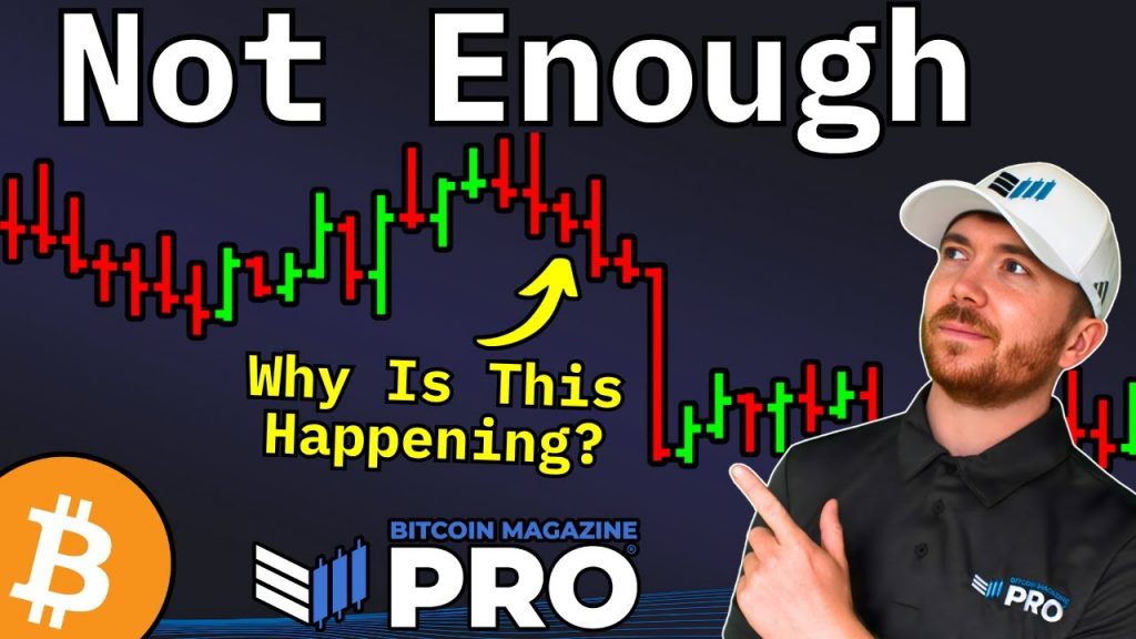 Bitcoin Price Slump Could Spark Next Bull Run