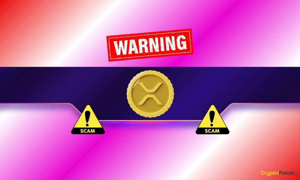 Crucial Red Flags for the XRP Army