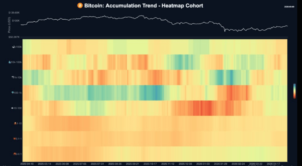 Nearly 80% Of Bitcoin Supply Hasn’t Moved As Long-Term Holders Tighten Grip
